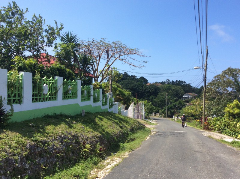 Resort/vacation property For Sale in Sherwood Forrest, Portland Jamaica