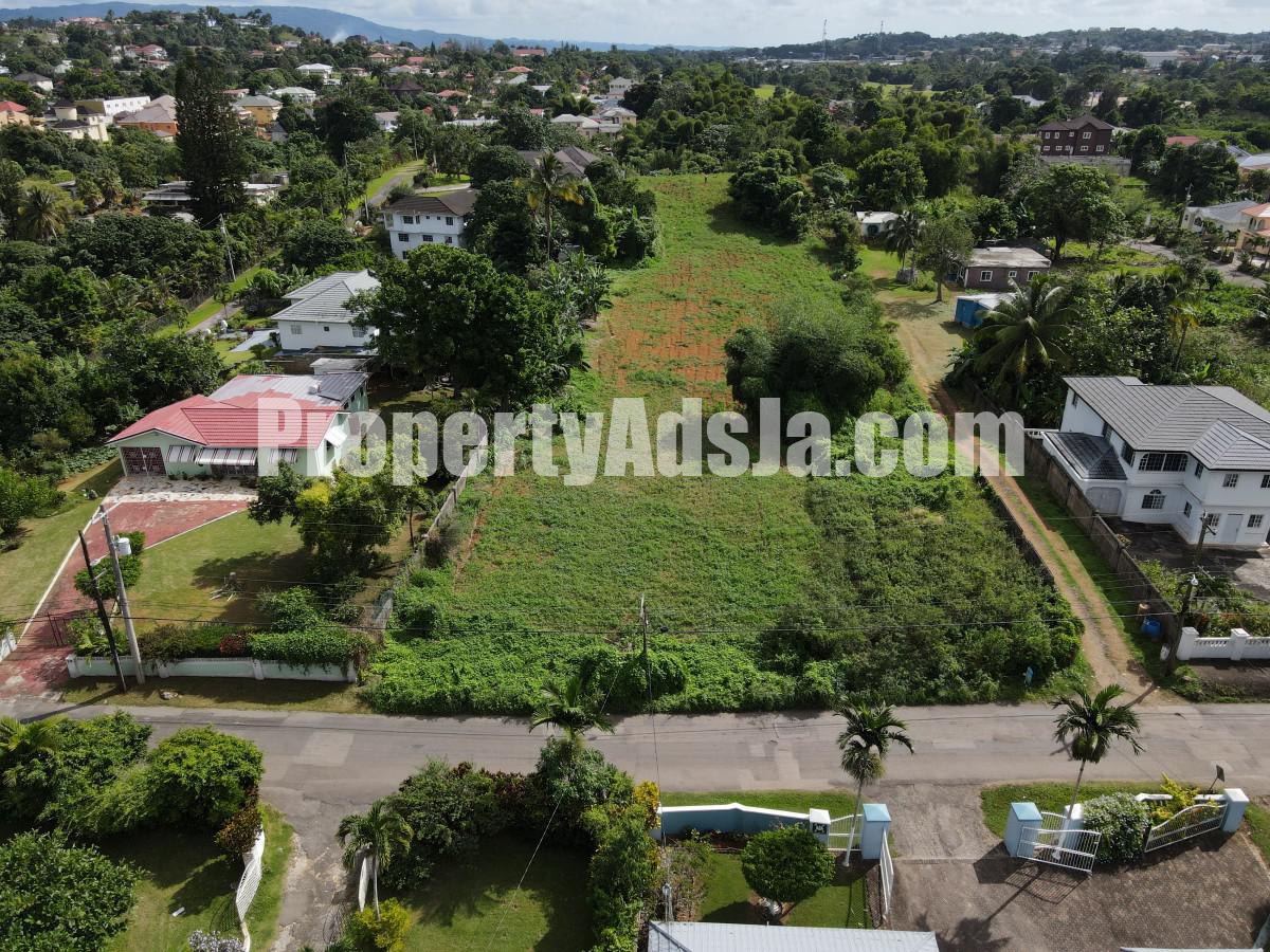 Land For Sale in Mandeville, Manchester Jamaica
