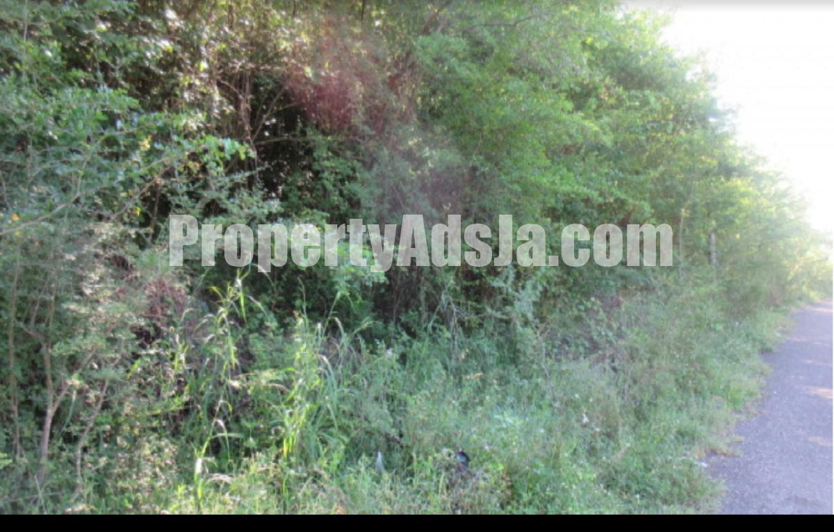 Residential lot For Sale in WHITEHALL, Westmoreland Jamaica