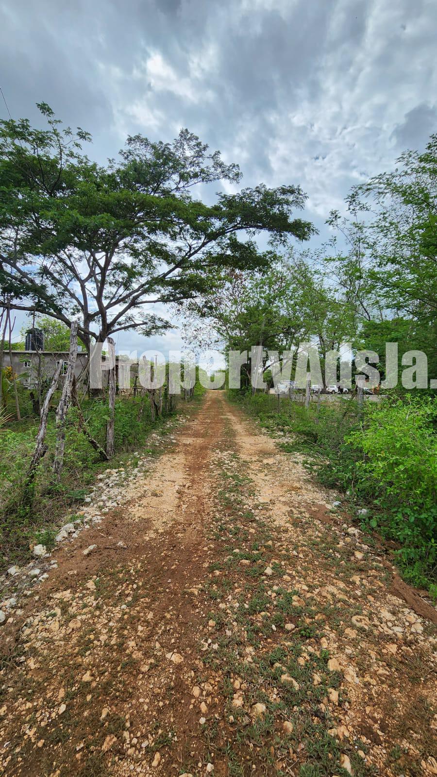 House For Sale in PALMERS CROSS, Clarendon Jamaica