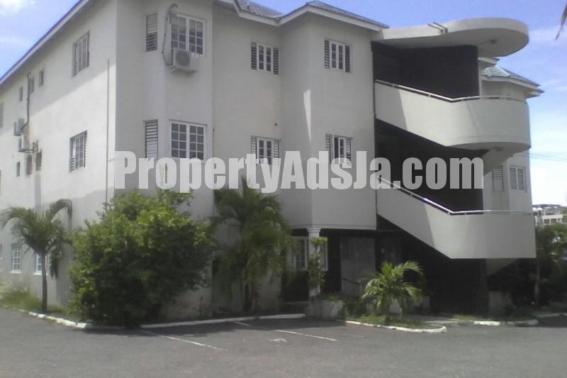 Apartment For Rent in New Kingston, Kingston / St. Andrew Jamaica