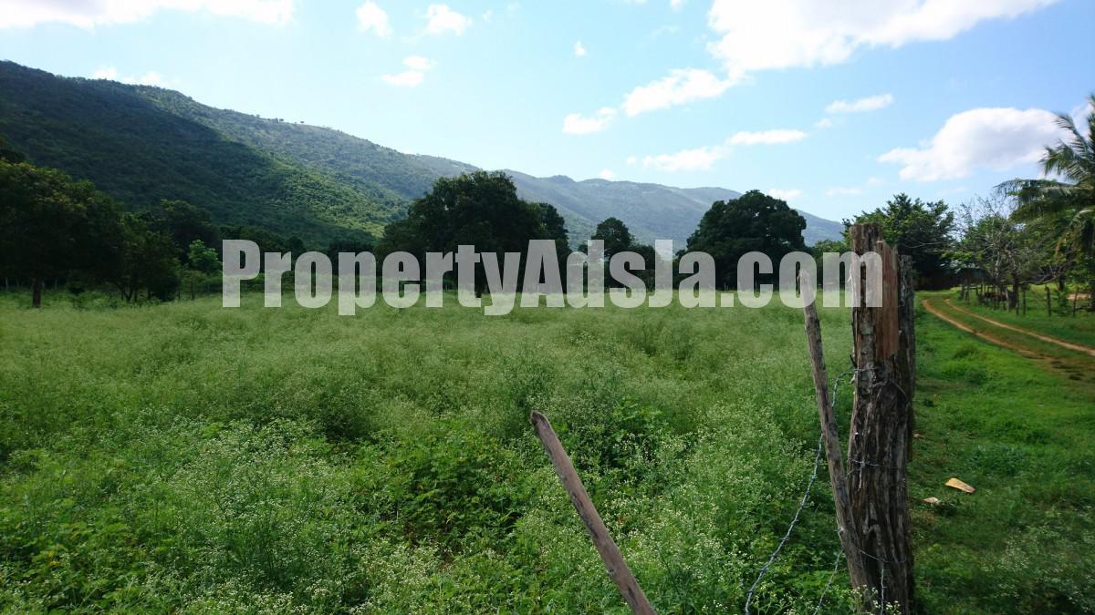 Residential lot For Sale in Orange Grove, St. Elizabeth Jamaica