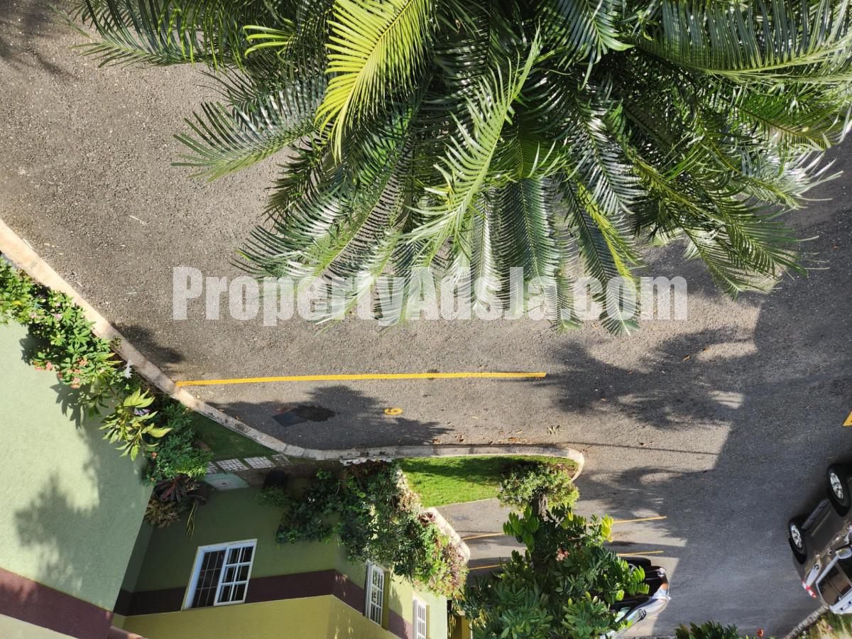 Apartment For Rent in Mona Heights, Kingston / St. Andrew Jamaica