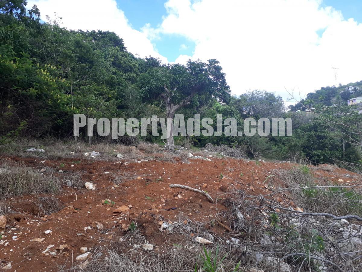 Land For Sale in Christiana, Manchester Jamaica