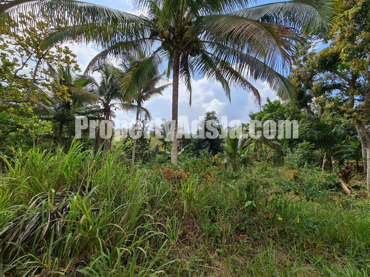 Commercial/farm land For Sale in Bog Walk, St. Catherine Jamaica