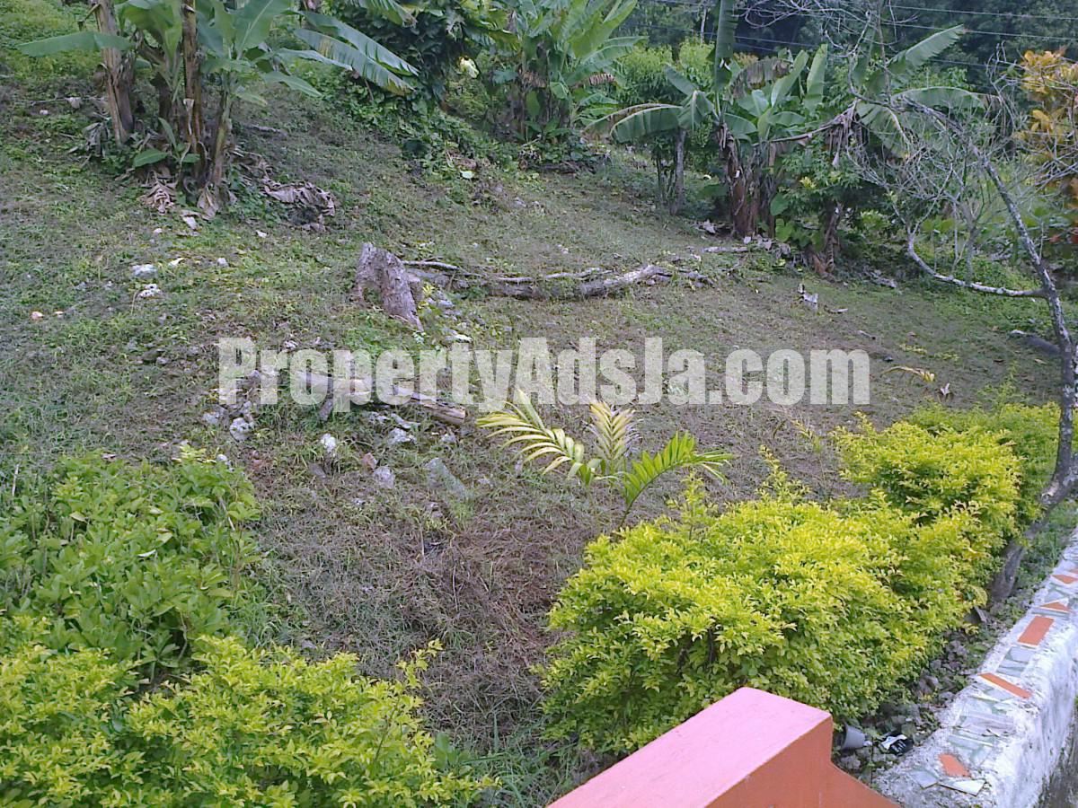 Land For Sale in Browns Town, St. Ann Jamaica