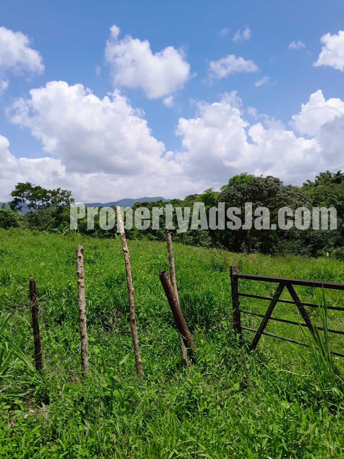 Land For Sale in Seaford Town, Westmoreland Jamaica