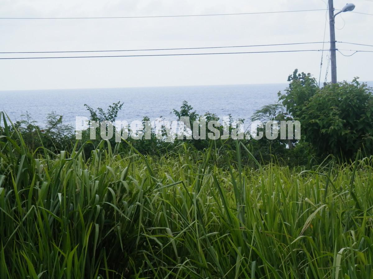 Residential lot For Sale in Spring Valley, St. Mary Jamaica