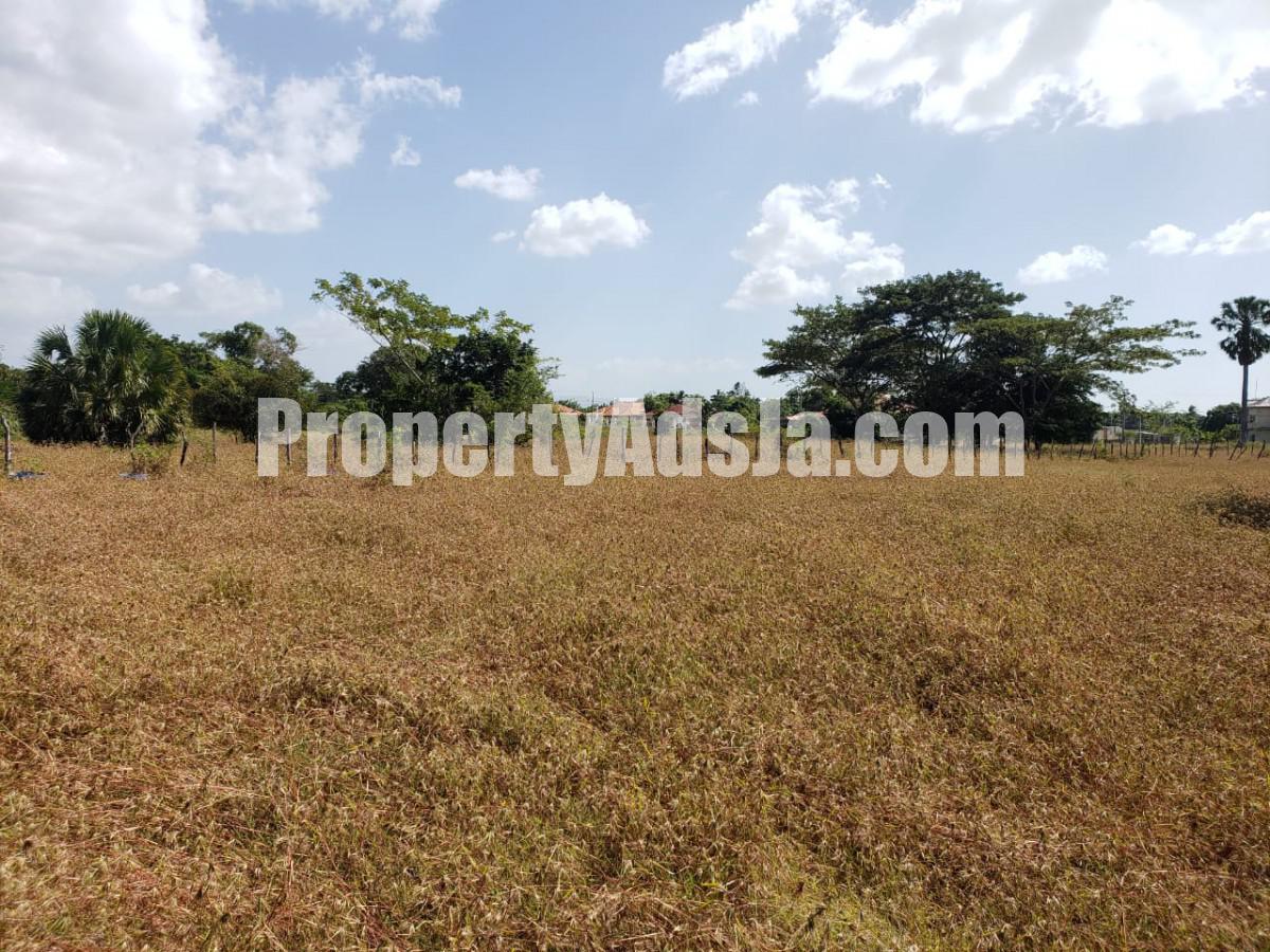 Residential lot For Sale in Black river, St. Elizabeth Jamaica