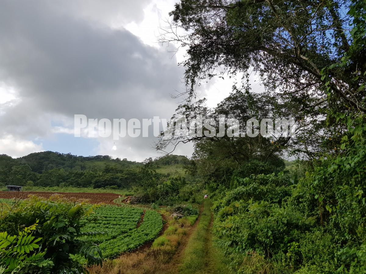 Commercial/farm land For Sale in Carton Estate Off road leading from