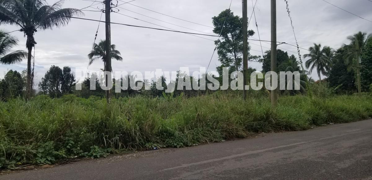 Residential lot For Sale in Ewarton, St. Catherine Jamaica
