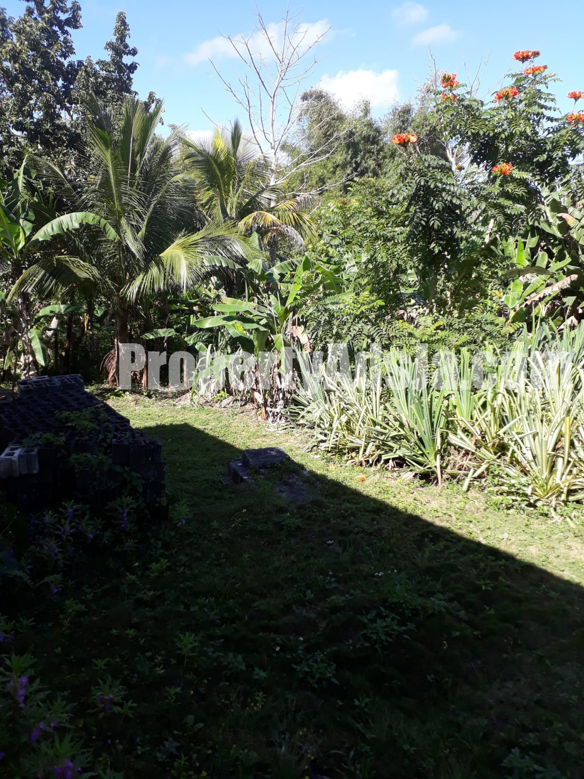 House For Sale in Elderslie District, St. Elizabeth Jamaica