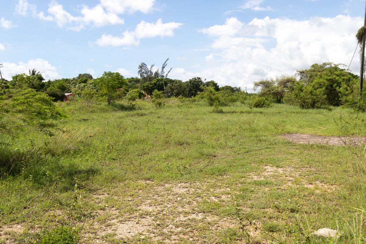 Residential lot For Sale in Twin Palms Estate, Clarendon Jamaica