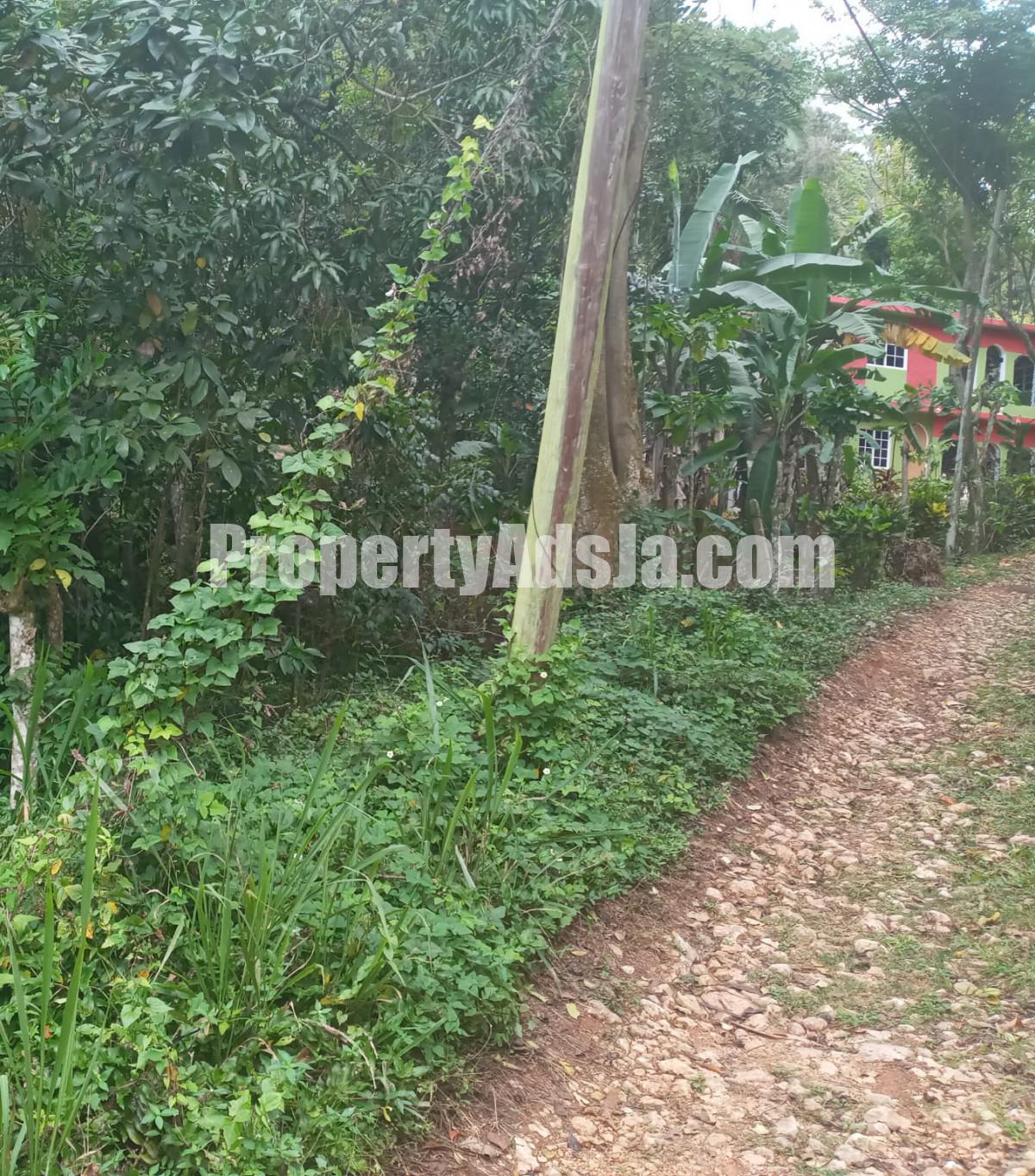 Residential lot For Sale in Red HillsMarveley Mountain, Kingston / St