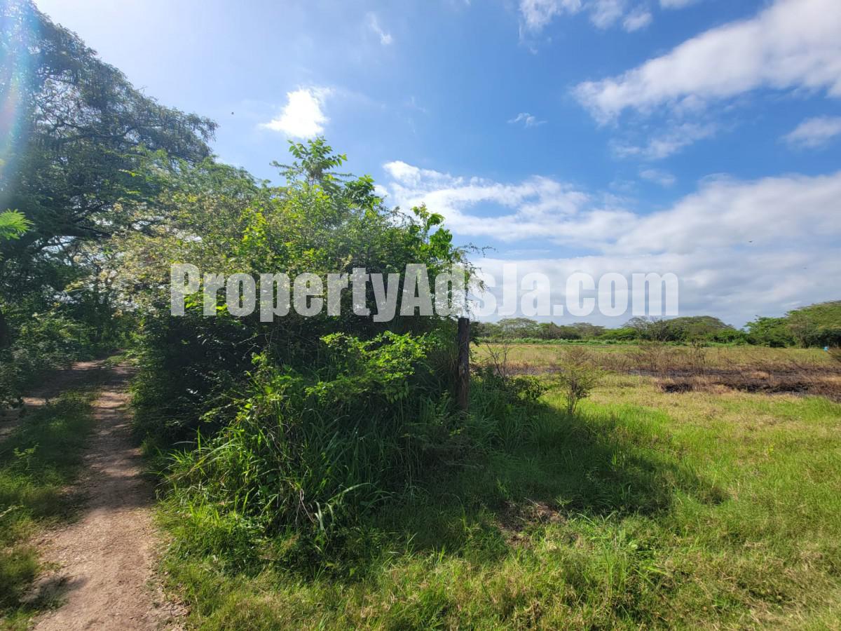 Commercial/farm land For Sale in Old Harbour, St. Catherine Jamaica