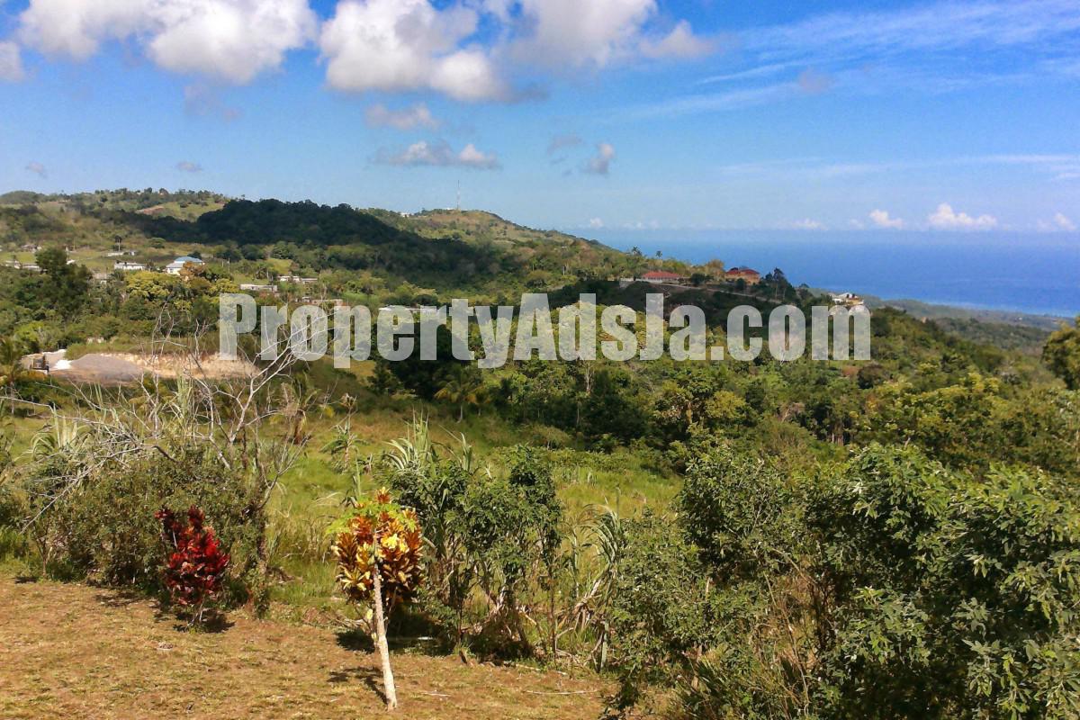 Residential lot For Sale in Bamboo, St. Ann Jamaica