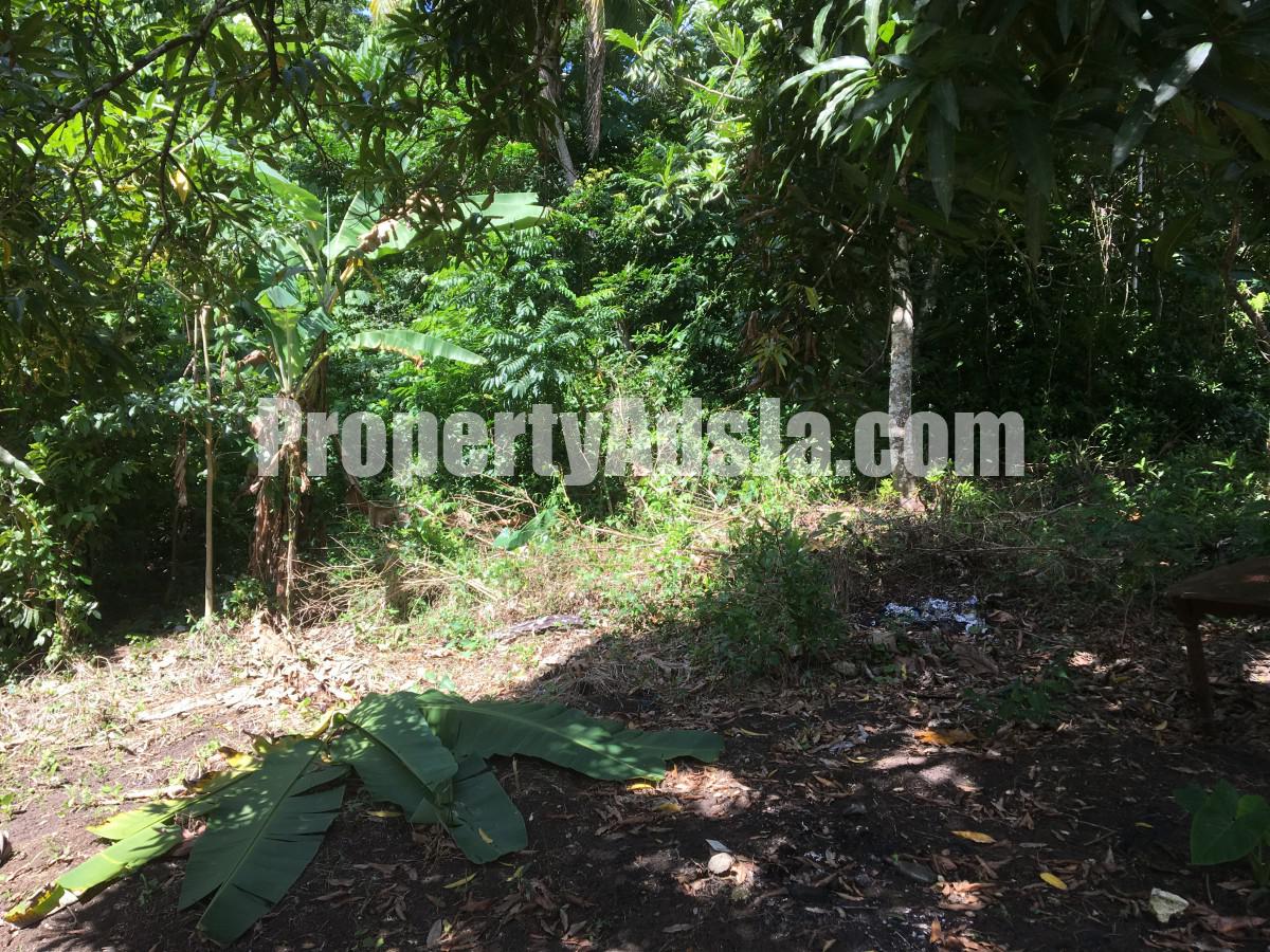 Commercial/farm land For Sale in Port Maria, St. Mary Jamaica