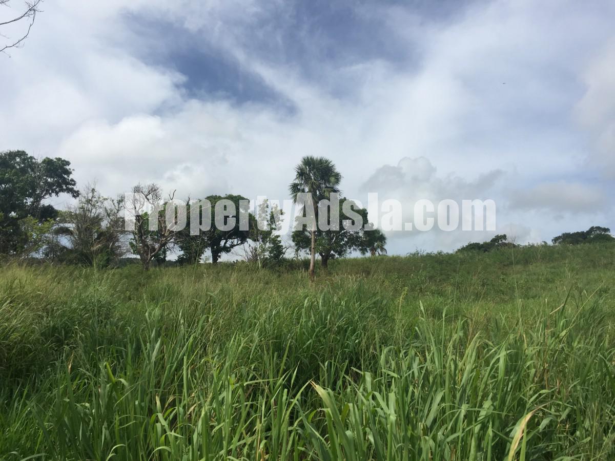 Residential lot For Sale in Southfield, St. Elizabeth Jamaica