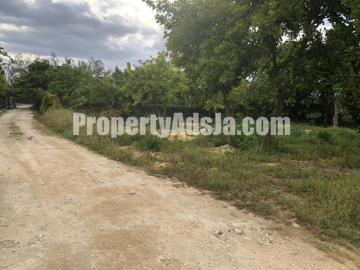 Residential lot For Sale in West end Negril, Westmoreland Jamaica