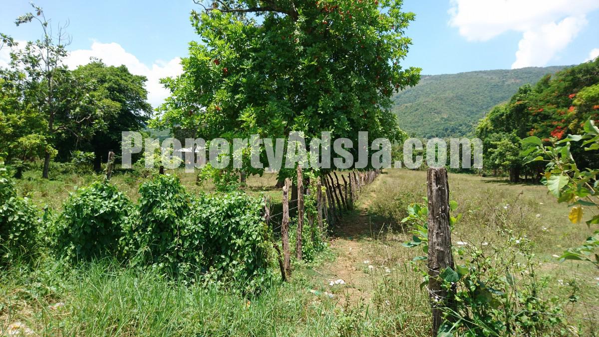 Residential lot For Sale in Pump House, St. Elizabeth Jamaica