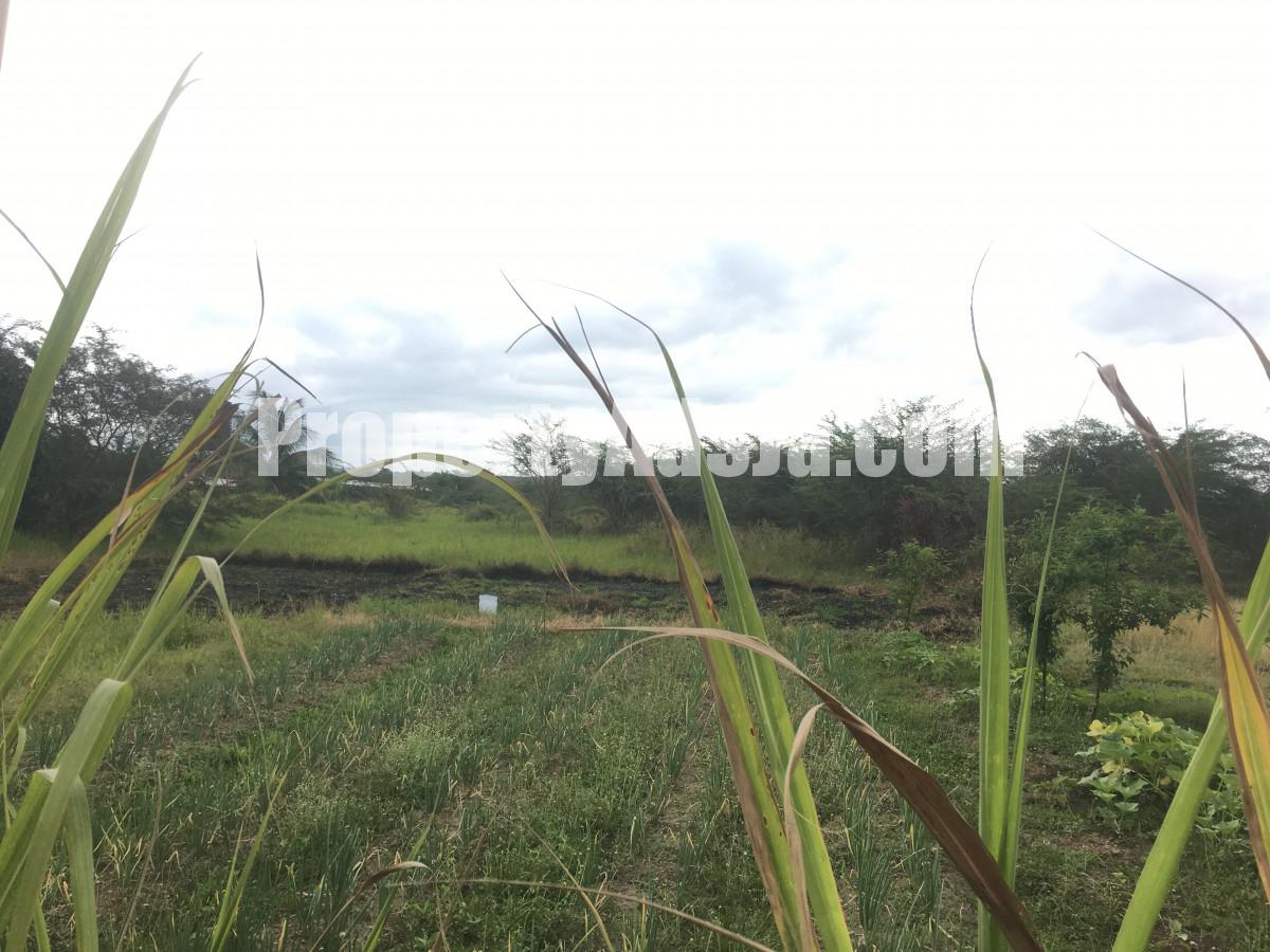 Commercial/farm land For Sale in Clarendon, Clarendon Jamaica