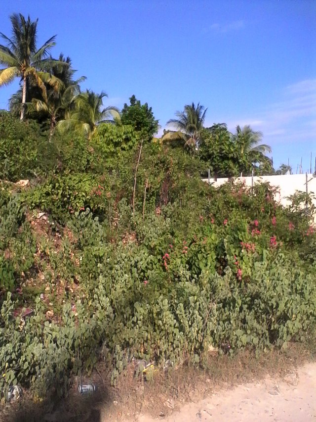 Residential lot For Sale in Old Harbour, St. Catherine Jamaica