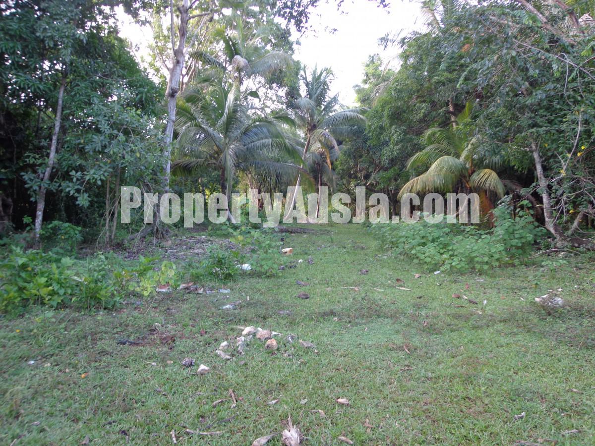 Residential lot For Sale in Orange Bay, Hanover Jamaica