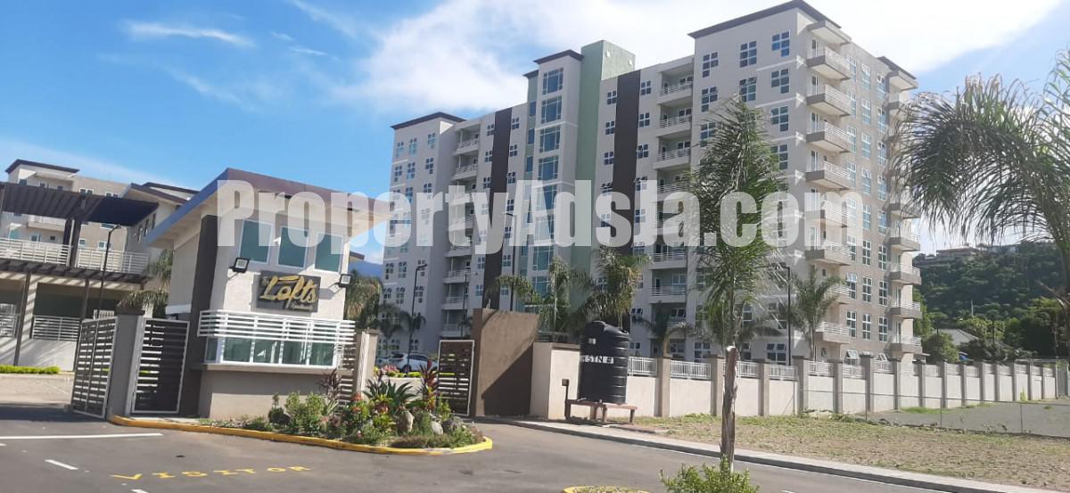 Apartment For Rent in Kingston 6, Kingston / St. Andrew Jamaica