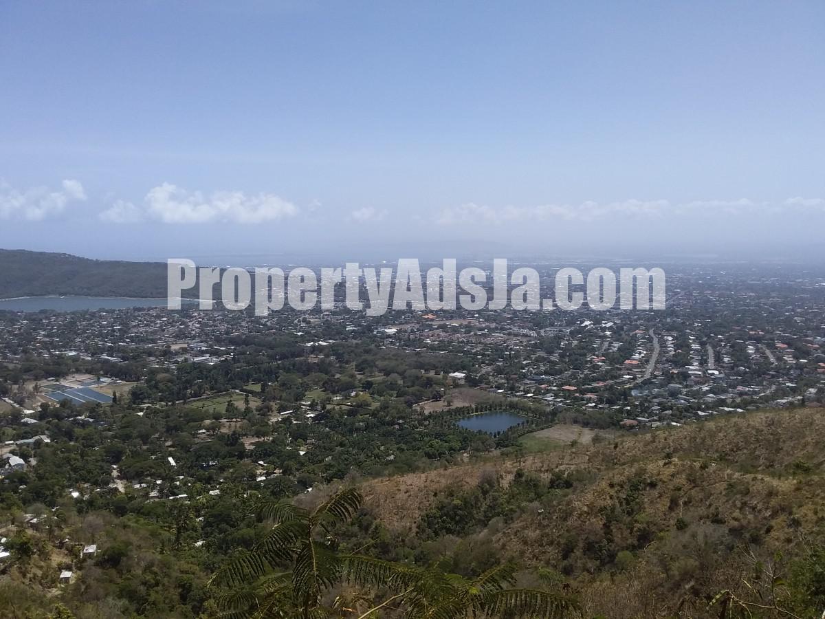 Apartment For Sale in Jacks Hill, Kingston / St. Andrew Jamaica