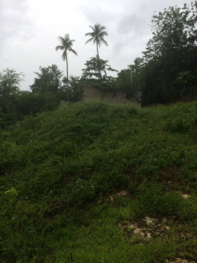 Residential lot For Sale in Balaclava, St. Elizabeth Jamaica