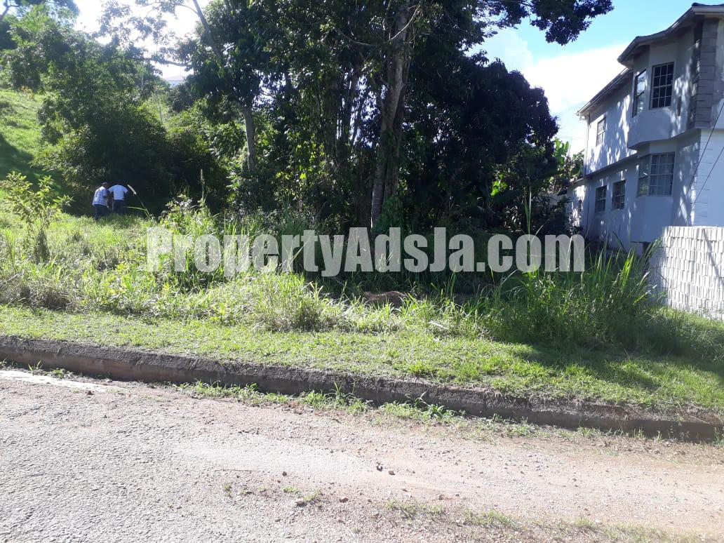 Residential lot For Sale in Spaldings, Manchester Jamaica