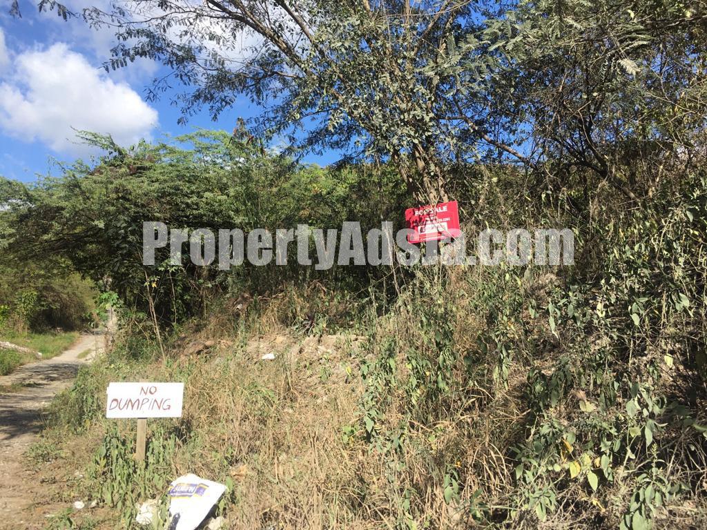 Residential lot For Sale in Yallahs, St. Thomas Jamaica