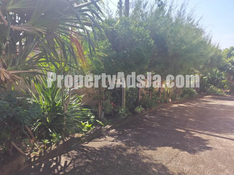 Apartment For Rent in St Elizabeth, Manchester Jamaica