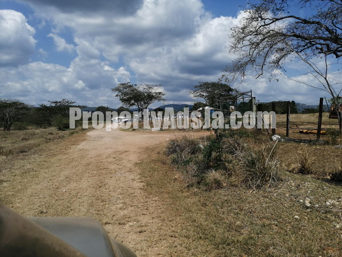 Commercial/farm land For Sale in Four Paths, Clarendon Jamaica