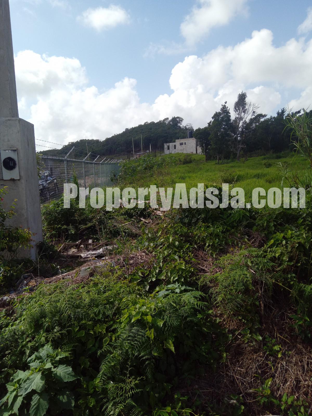 Residential lot For Sale in KnockPatrick, Manchester Jamaica