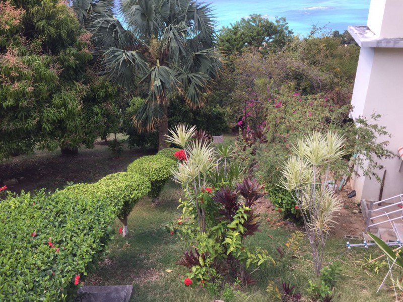 House For Rent in Whitehouse, Westmoreland Jamaica