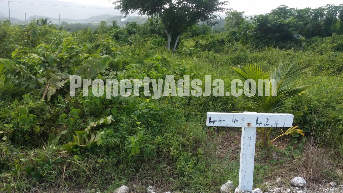 Residential lot For Sale in Fairy Hill, Portland Jamaica