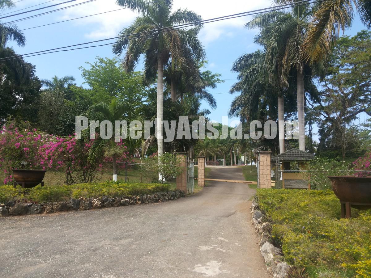 Resort/vacation property For Sale in Orange Bay, Hanover Jamaica