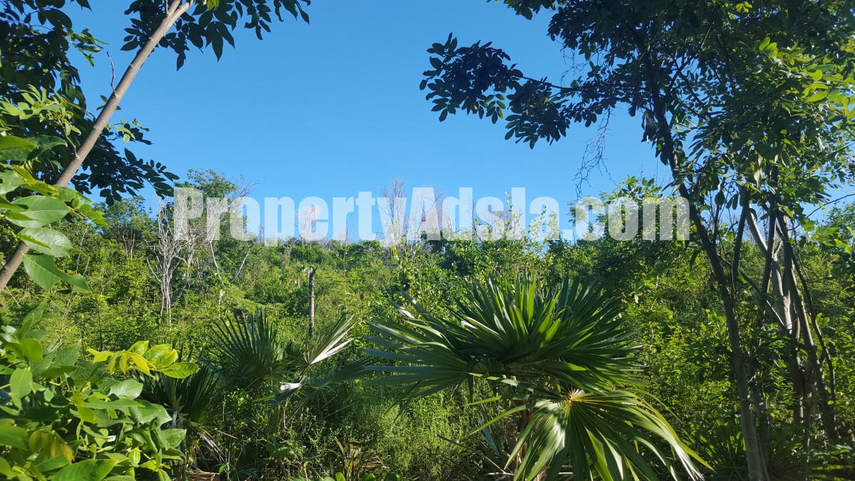 Residential lot For Sale in ALBION HEIGHTS, St. Thomas Jamaica