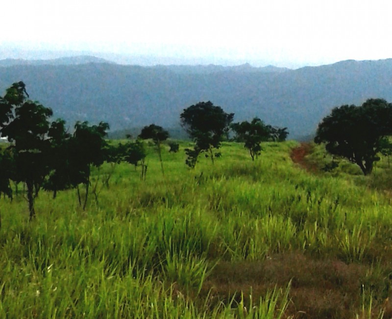 Residential lot For Sale in Plantation Heights, Kingston / St. Andrew