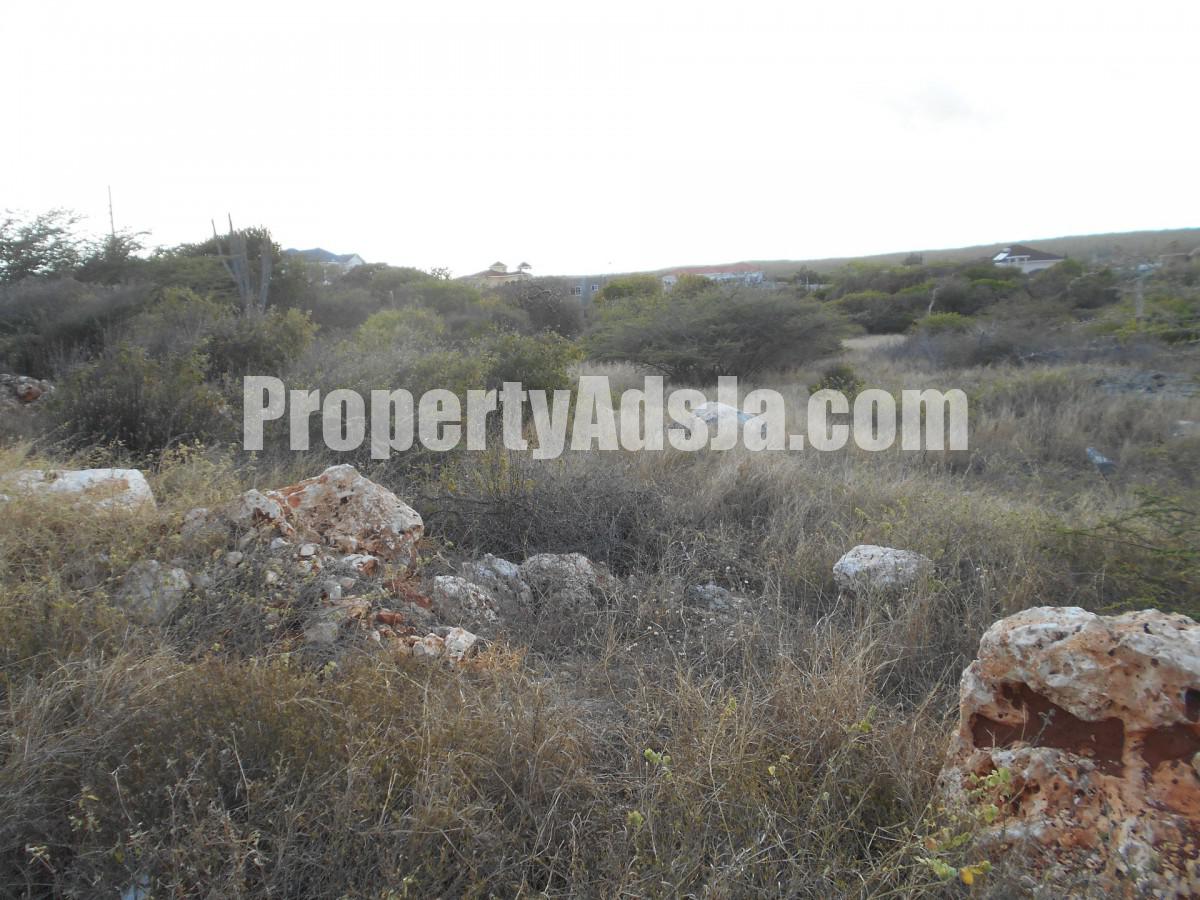 Land For Sale in Hellshire, St. Catherine Jamaica