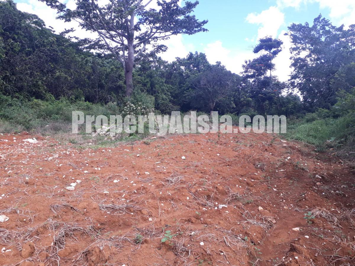 Land For Sale in Christiana, Manchester Jamaica
