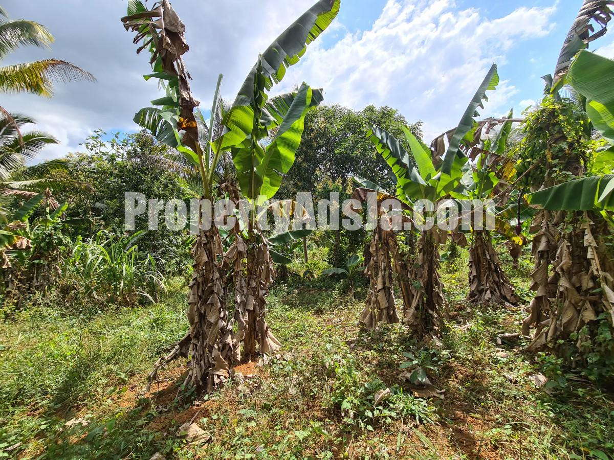 Commercial/farm land For Sale in Bog Walk, St. Catherine Jamaica