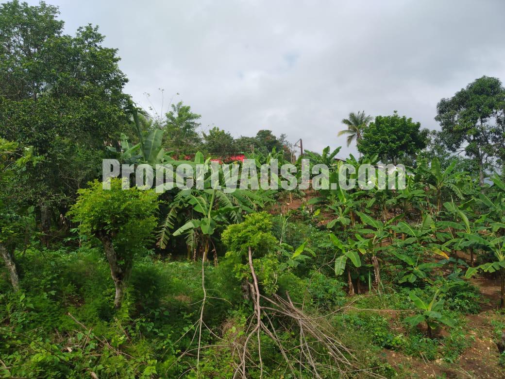 Residential lot For Sale in Ewarton, St. Catherine Jamaica