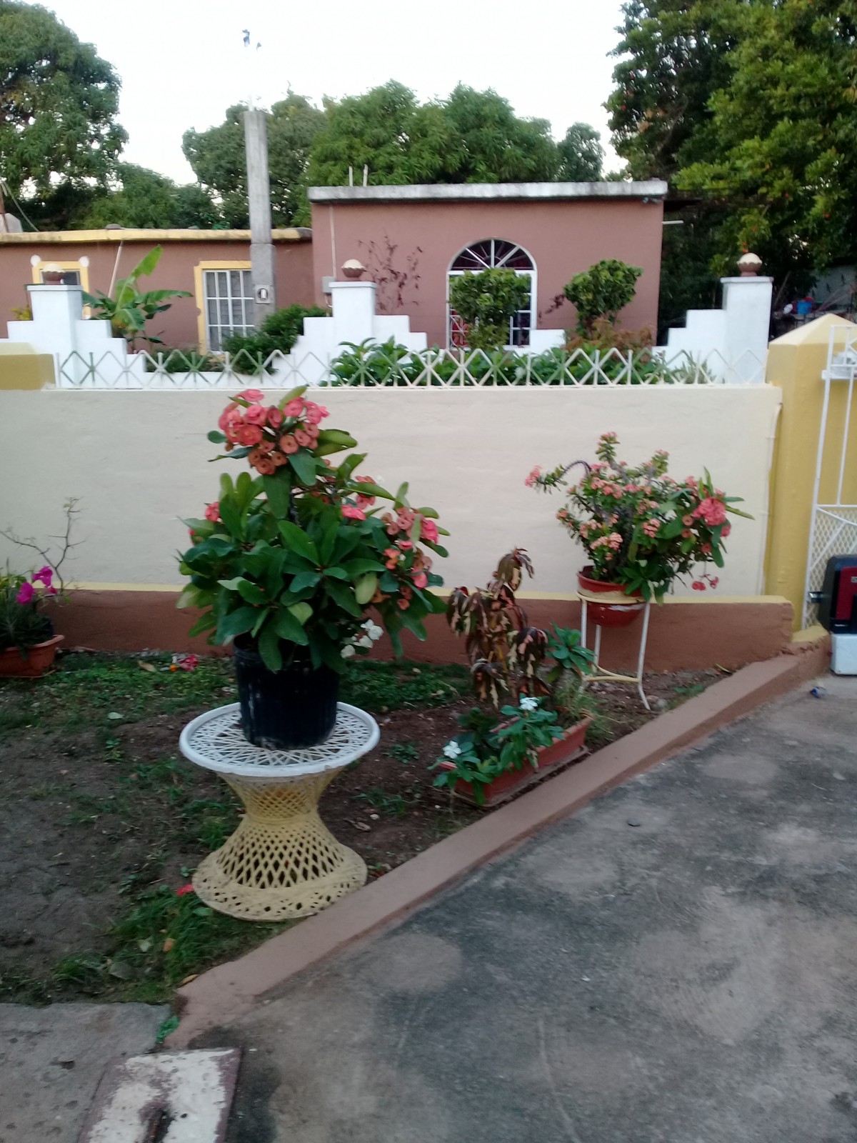 Residential lot For Sale in Hayes, Clarendon Jamaica