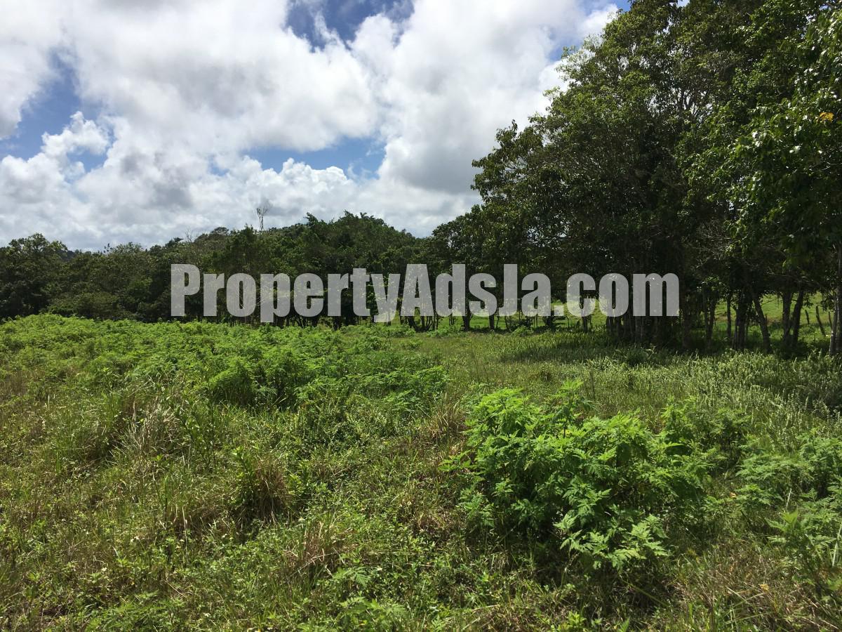 Residential lot For Sale in Chippenham Park Bamboo, St. Ann Jamaica