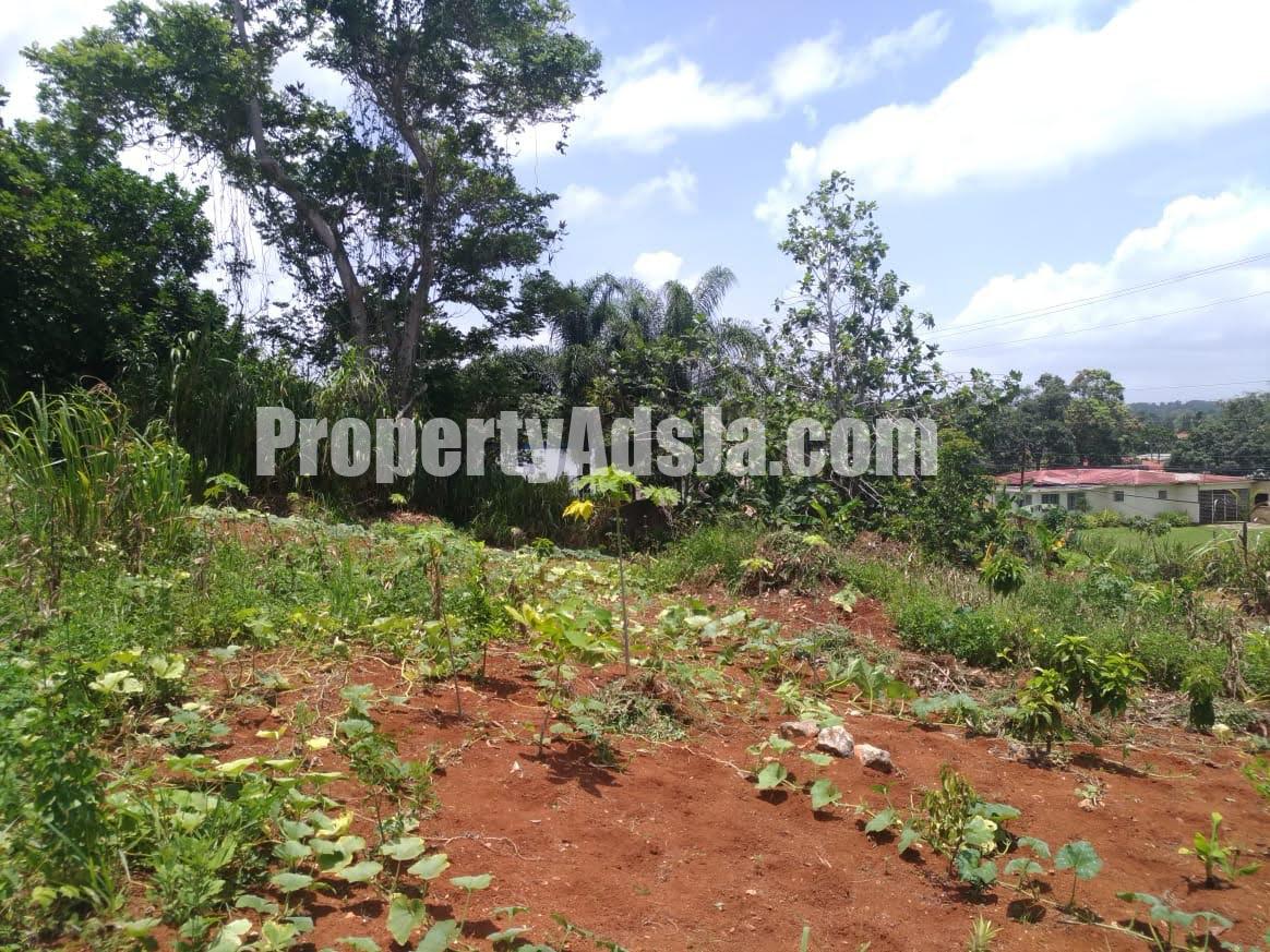 Residential lot For Sale in Caledonia Road Grey Ground, Manchester