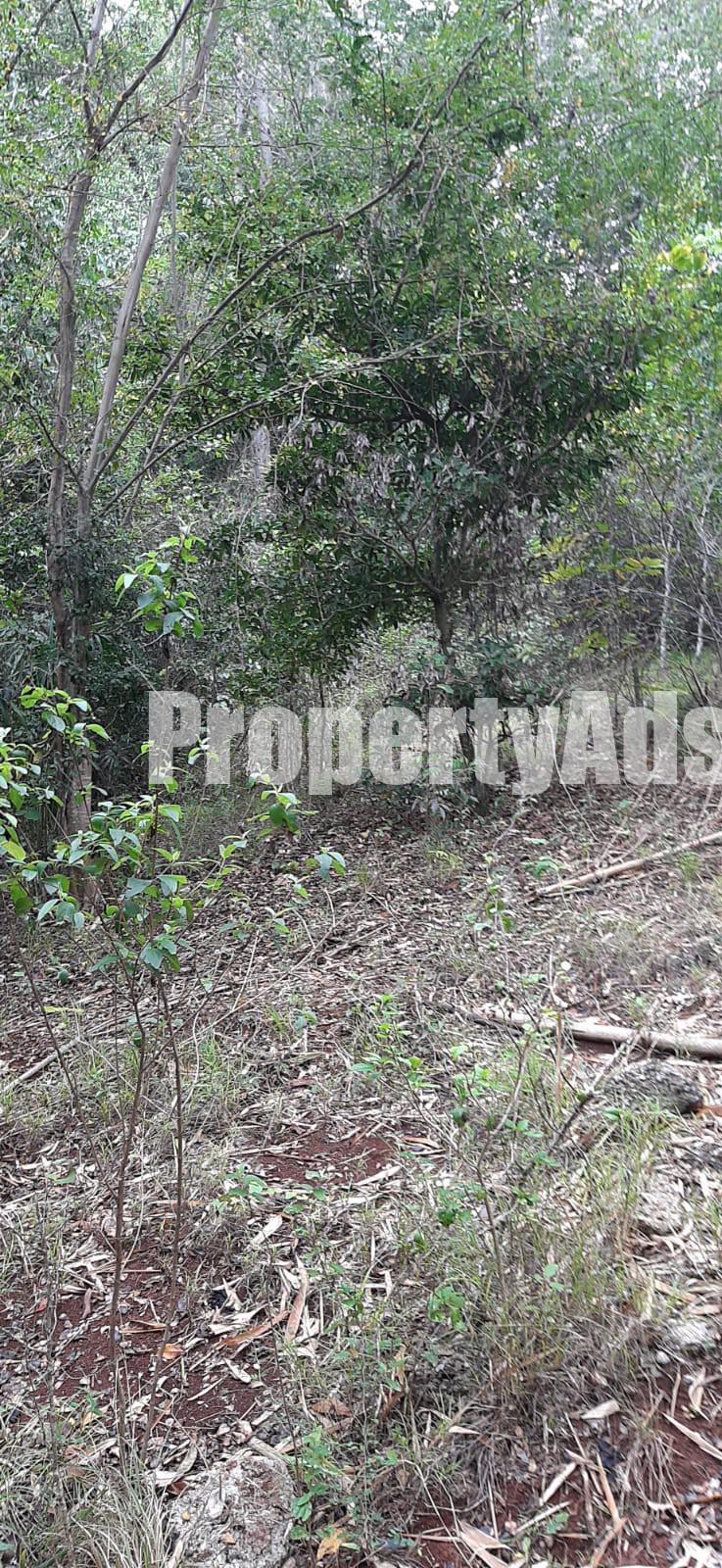 Land For Sale in Off Spanish Town or Kitson Town, St. Catherine Jamaica