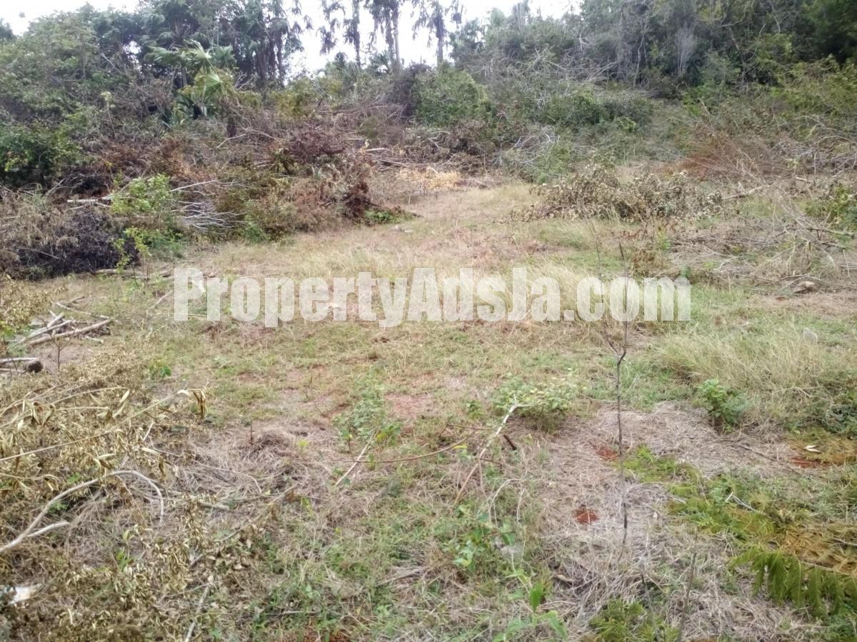 Residential lot For Sale in BANNISTER OLD HARBOUR, St. Catherine