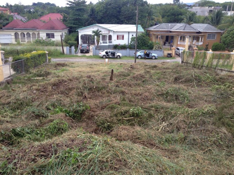 Residential lot For Sale in OLIVE PARK SUBDIVISION SANTA CRUZ, St